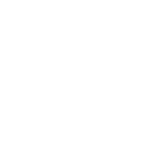Adam Carpets